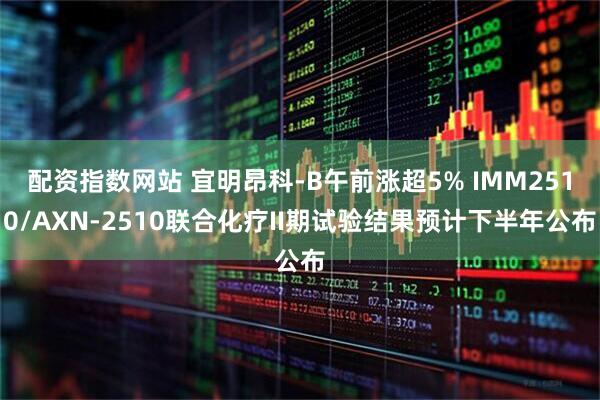 配资指数网站 宜明昂科-B午前涨超5% IMM2510/AXN-2510联合化疗II期试验结果预计下半年公布