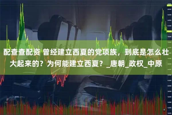 配查查配资 曾经建立西夏的党项族，到底是怎么壮大起来的？为何能建立西夏？_唐朝_政权_中原