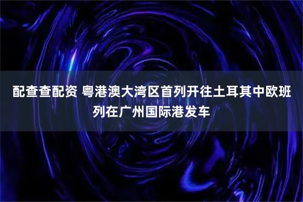 配查查配资 粤港澳大湾区首列开往土耳其中欧班列在广州国际港发车